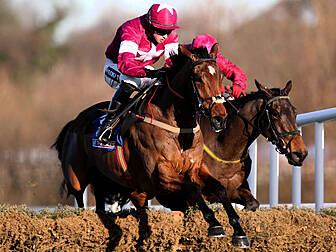 Road To Riches takes the Leopa...